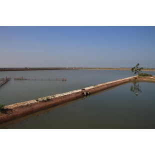 201901-5【天下雜誌】傳承轉型 揭開漁業與環境永續的關鍵秘辛_2019_.jpg