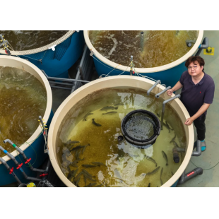 截圖 2023-11-10 上午11.00.56.png