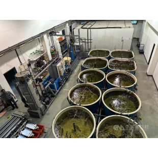 截圖 2023-11-10 上午11.44.02.png